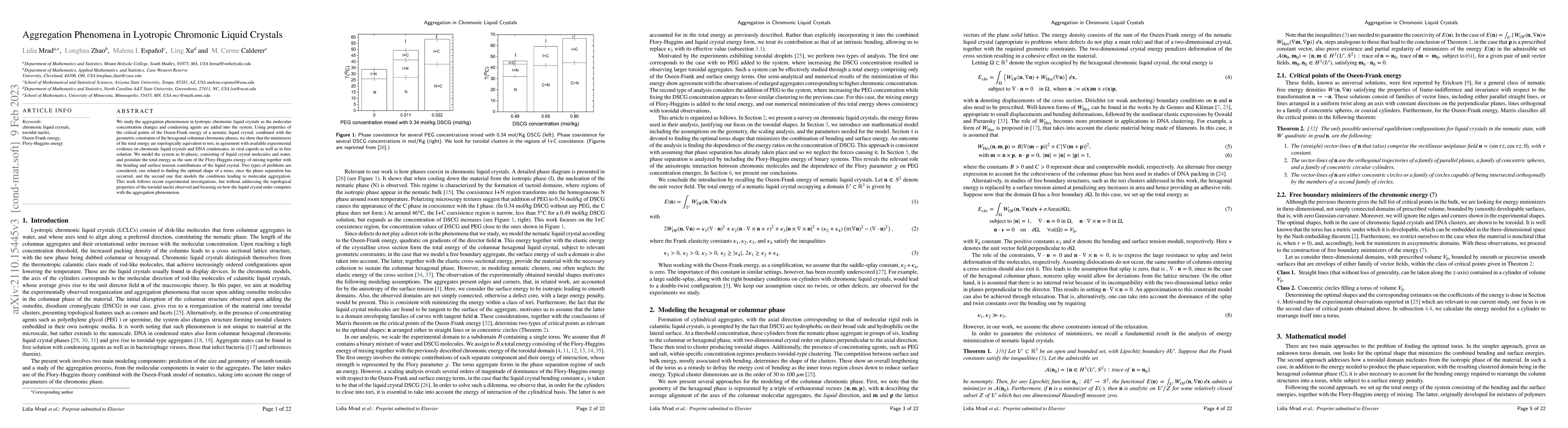 Thumbnail for Aggregation Phenomena in Lyotropic Chromonic Liquid Crystals