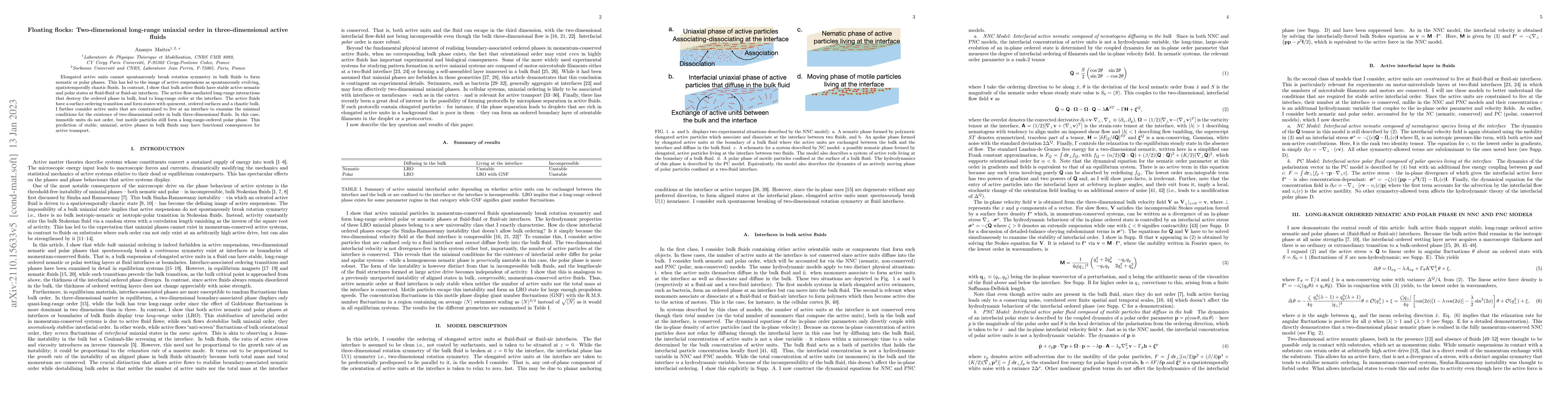 Thumbnail for Floating flocks: Two-dimensional long-range uniaxial order in
  three-dimensional active fluids