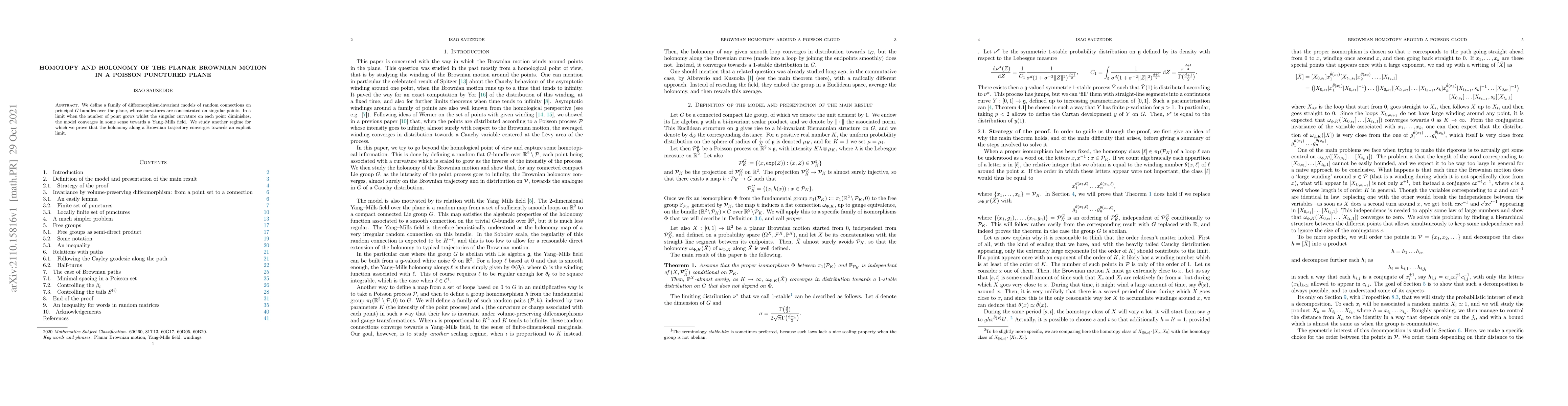 Thumbnail for Homotopy and holonomy of the planar Brownian motion in a Poisson
  punctured plane