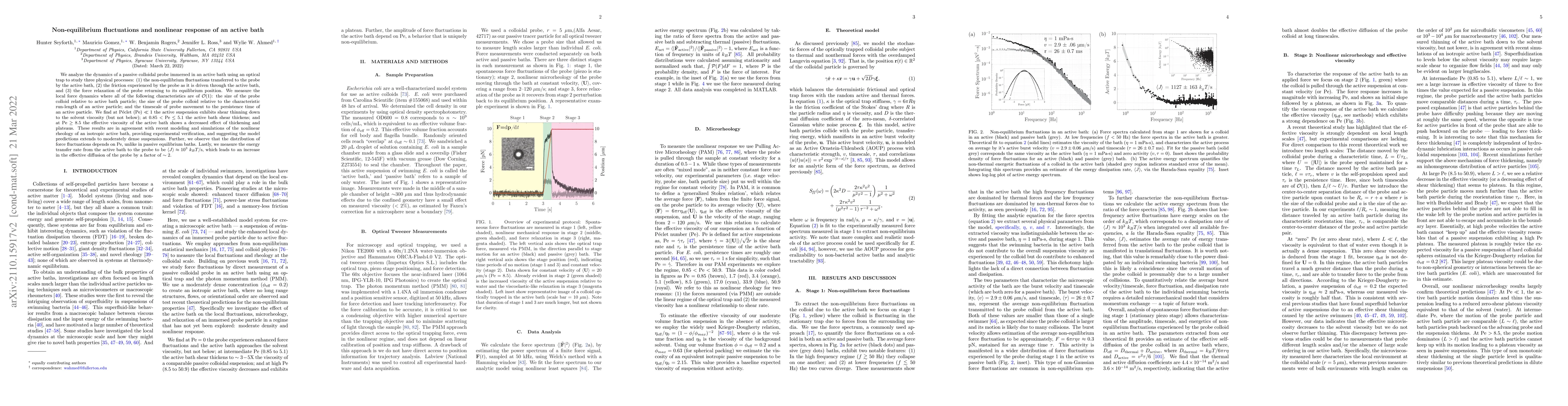 Thumbnail for Non-equilibrium fluctuations and nonlinear response of an active bath