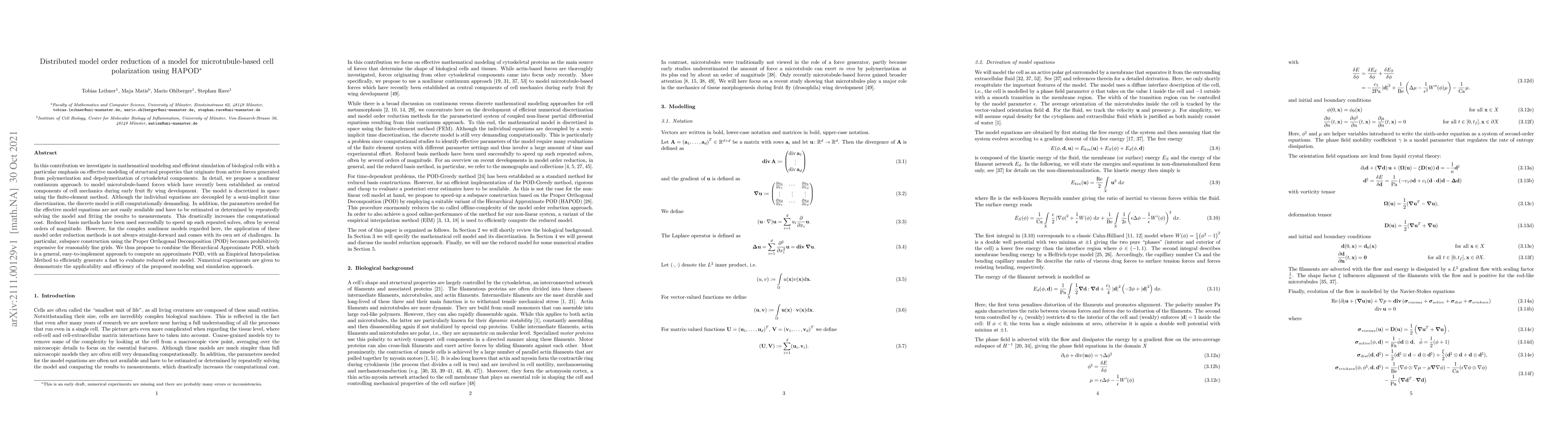 Thumbnail for Distributed model order reduction of a model for microtubule-based cell
  polarization using HAPOD