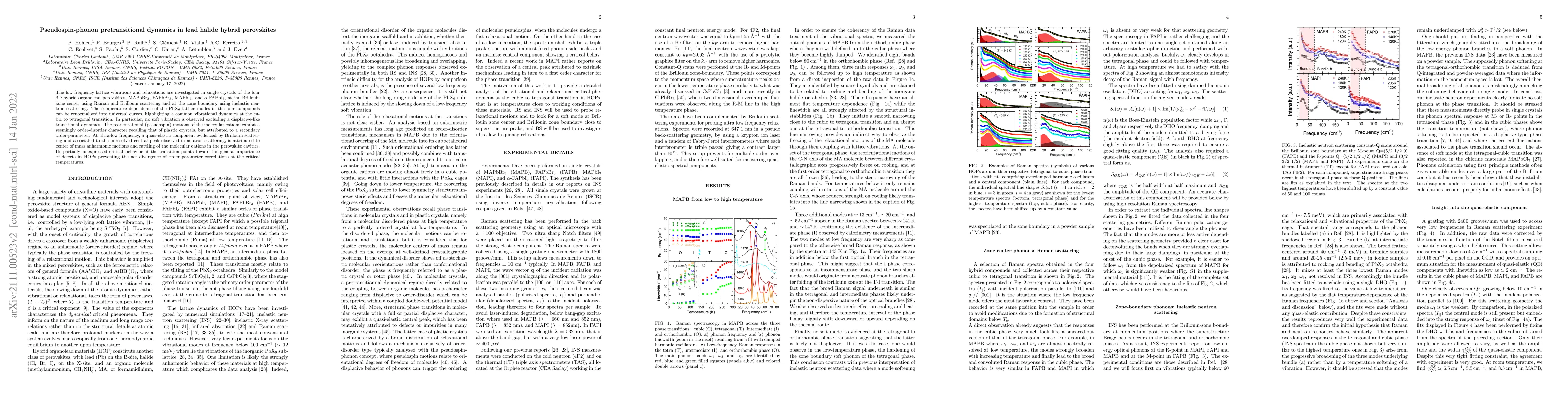 Thumbnail for Pseudospin-phonon pretransitional dynamics in lead halide hybrid
  perovskites