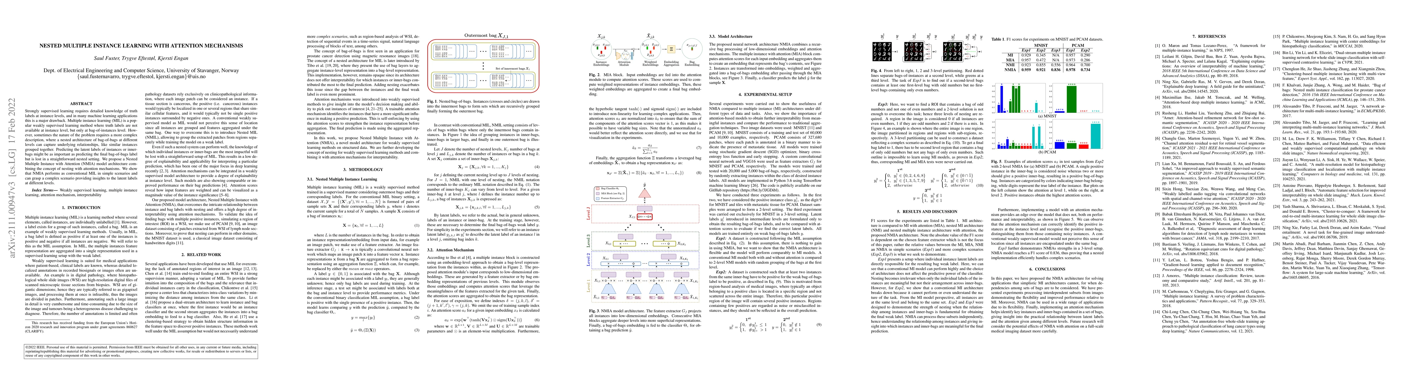 Thumbnail for Nested Multiple Instance Learning with Attention Mechanisms