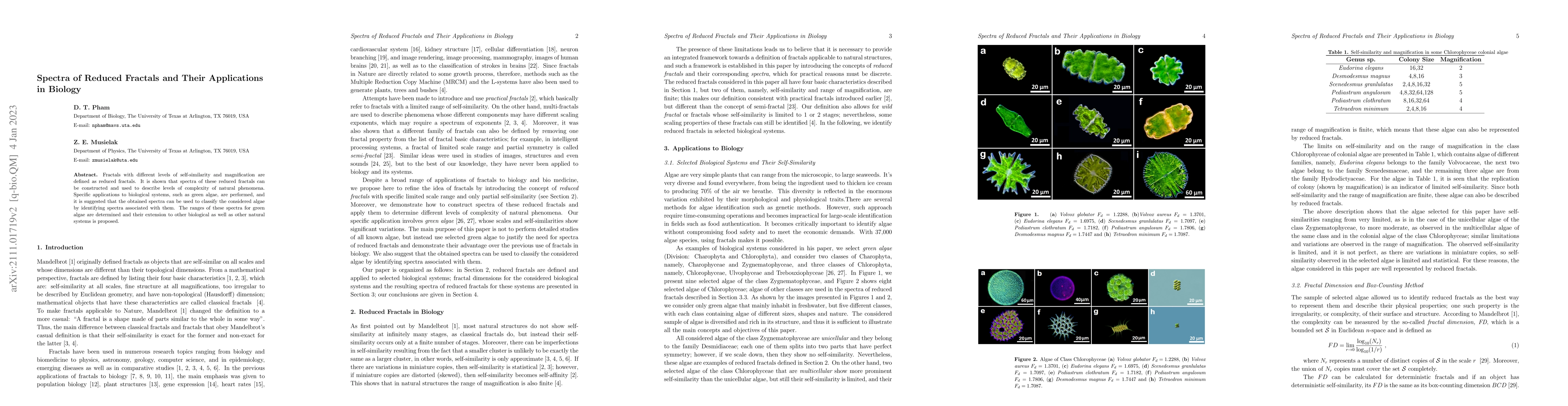 Thumbnail for Spectra of Reduced Fractals and Their Applications in Biology