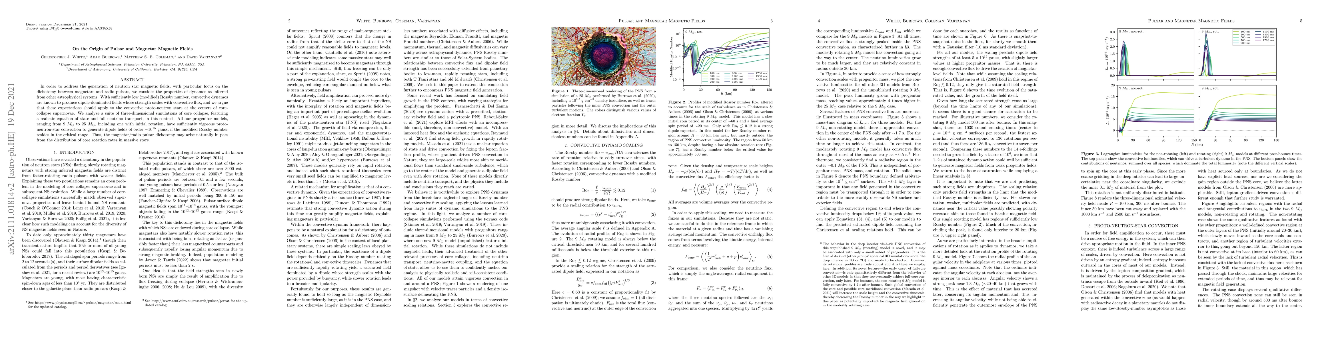 Thumbnail for On the Origin of Pulsar and Magnetar Magnetic Fields