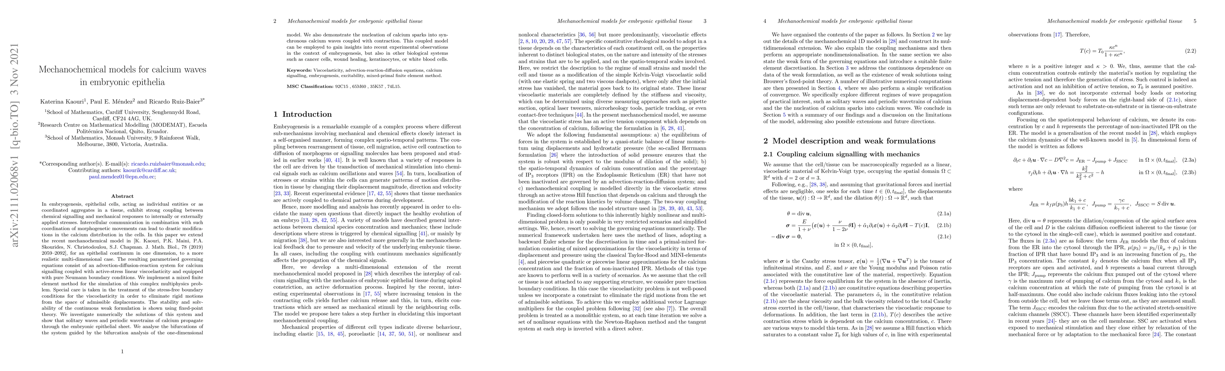 Thumbnail for Mechanochemical models for calcium waves in embryonic epithelia
