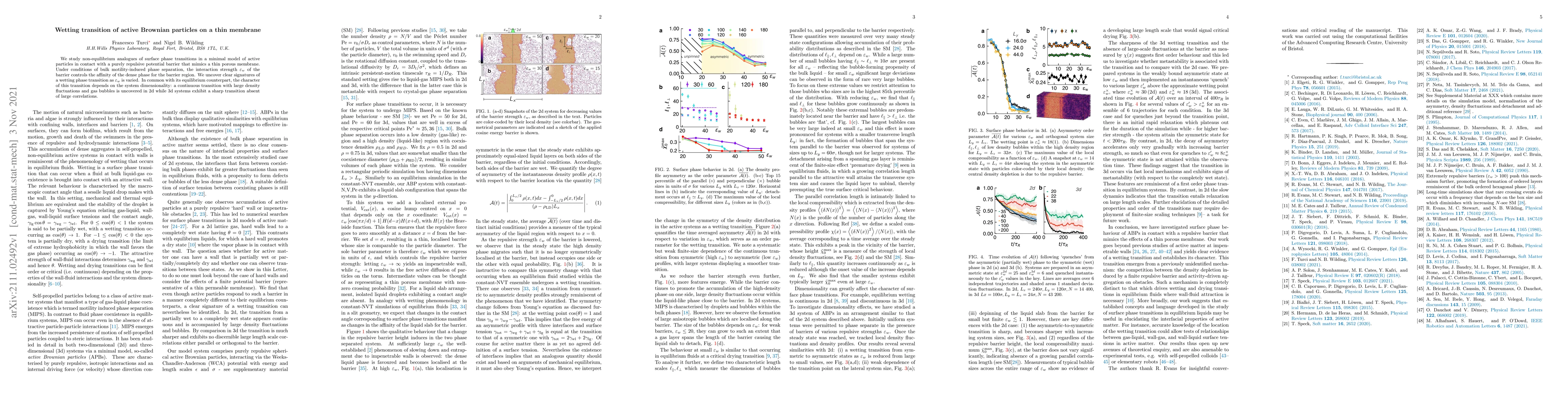 Thumbnail for Wetting transition of active Brownian particles on a thin membrane