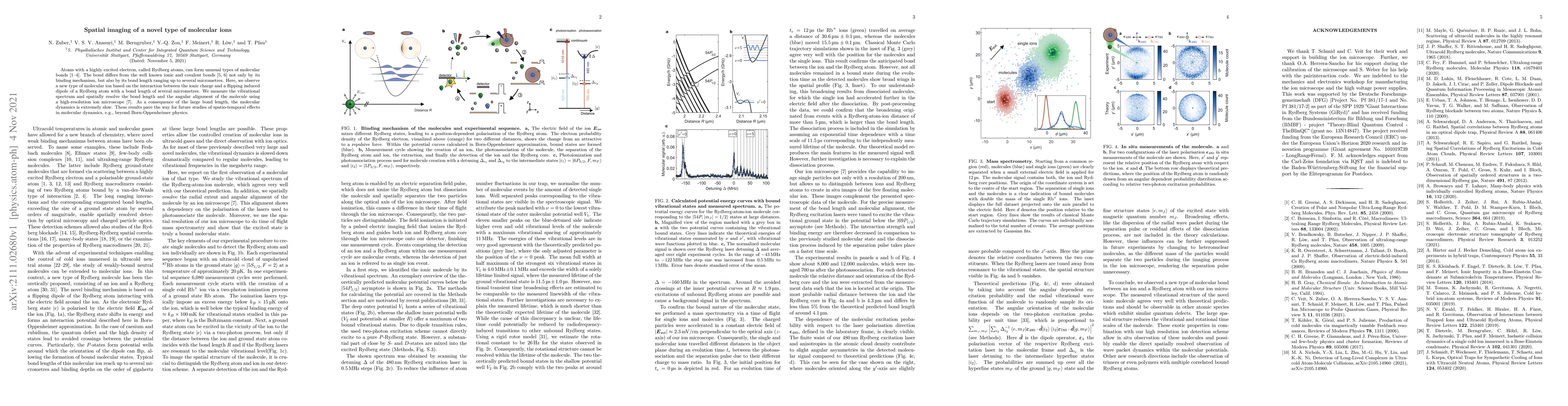 Thumbnail for Spatial imaging of a novel type of molecular ions