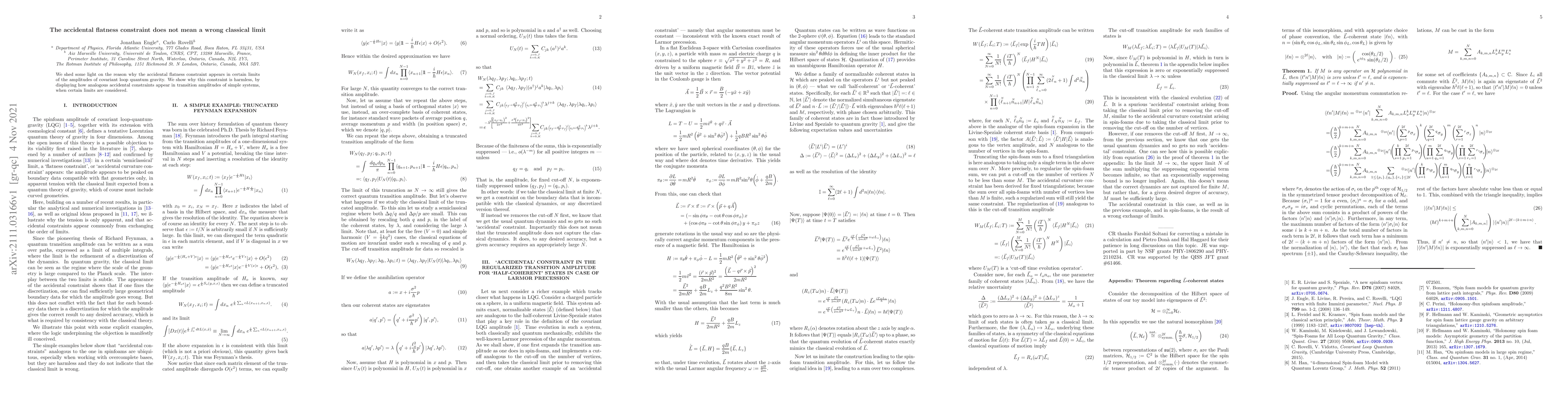 Thumbnail for The accidental flatness constraint does not mean a wrong classical limit