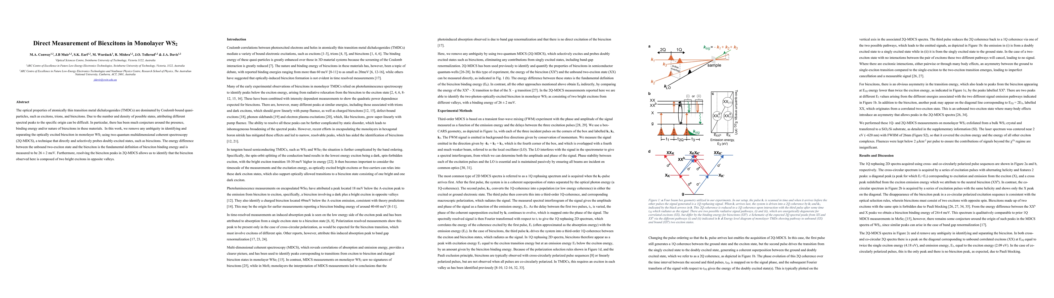 Thumbnail for Direct Measurement of Biexcitons in Monolayer WS2