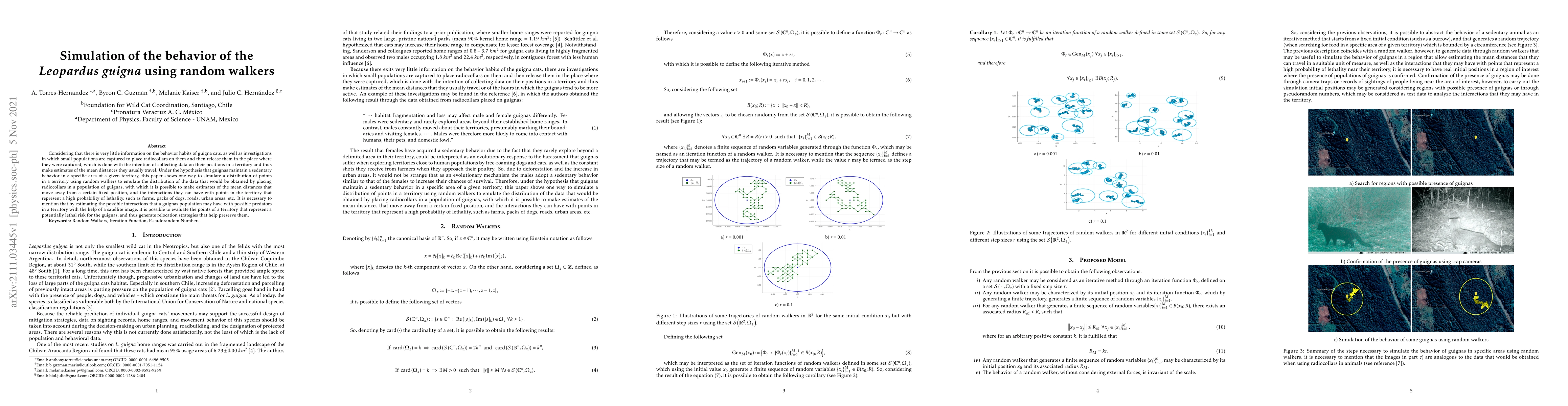 Thumbnail for Simulation of the behavior of the Leopardus guigna using random walkers