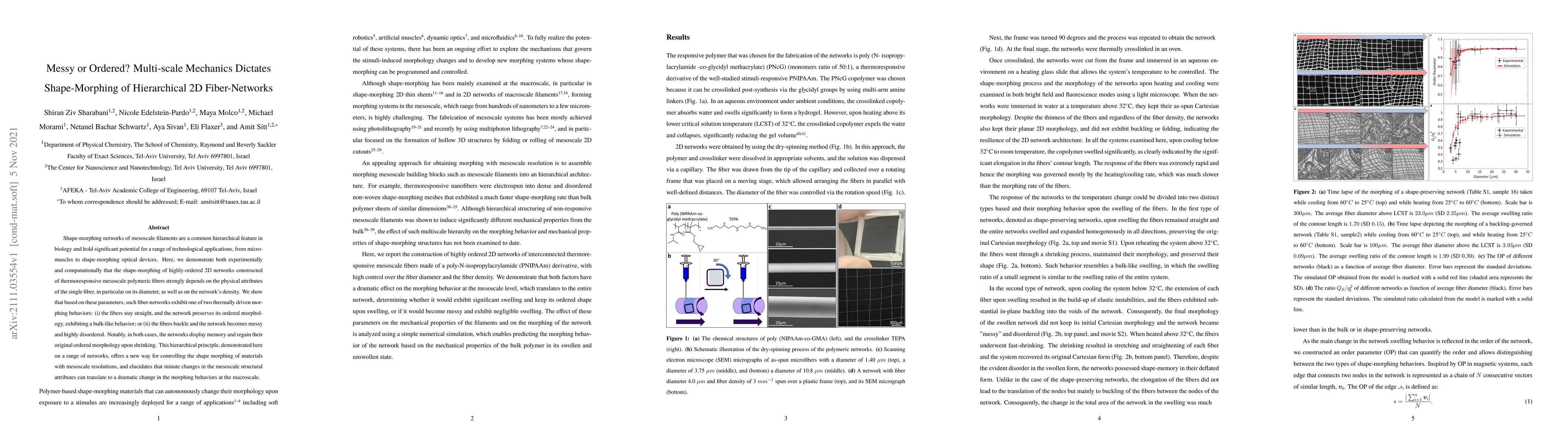 Thumbnail for Messy or Ordered? Multi-scale Mechanics DictatesShape-Morphing of
  Hierarchical 2D Fiber-Networks