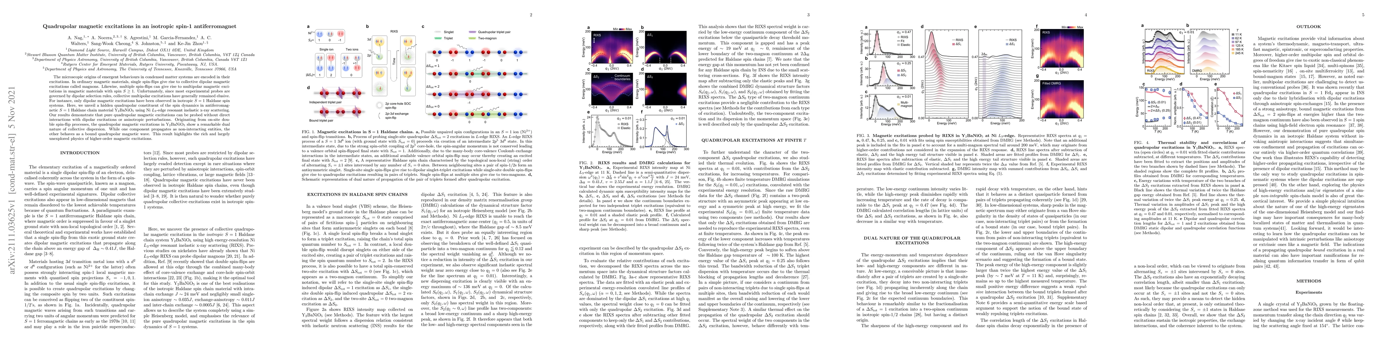 Thumbnail for Quadrupolar magnetic excitations in an isotropic spin-1 antiferromagnet