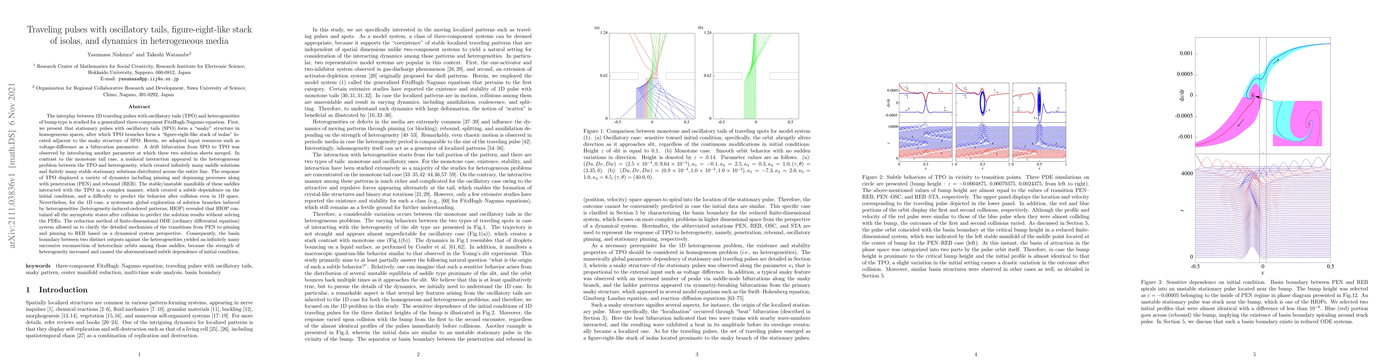 Thumbnail for Traveling pulses with oscillatory tails, figure-eight-like stack of
  isolas, and dynamics in heterogeneous media
