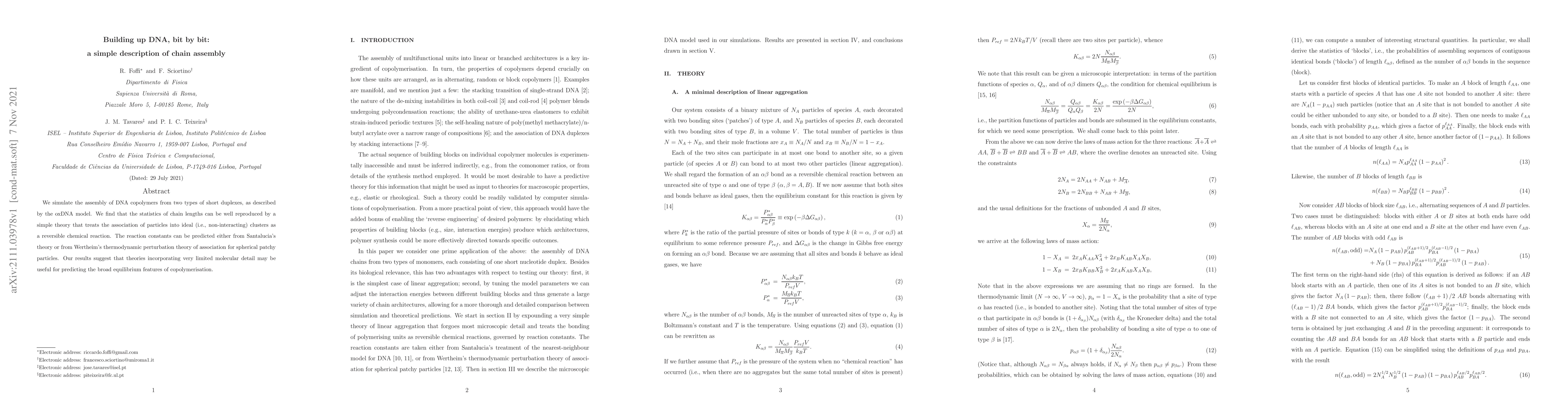 Thumbnail for Building up DNA, bit by bit: a simple description of chain assembly
