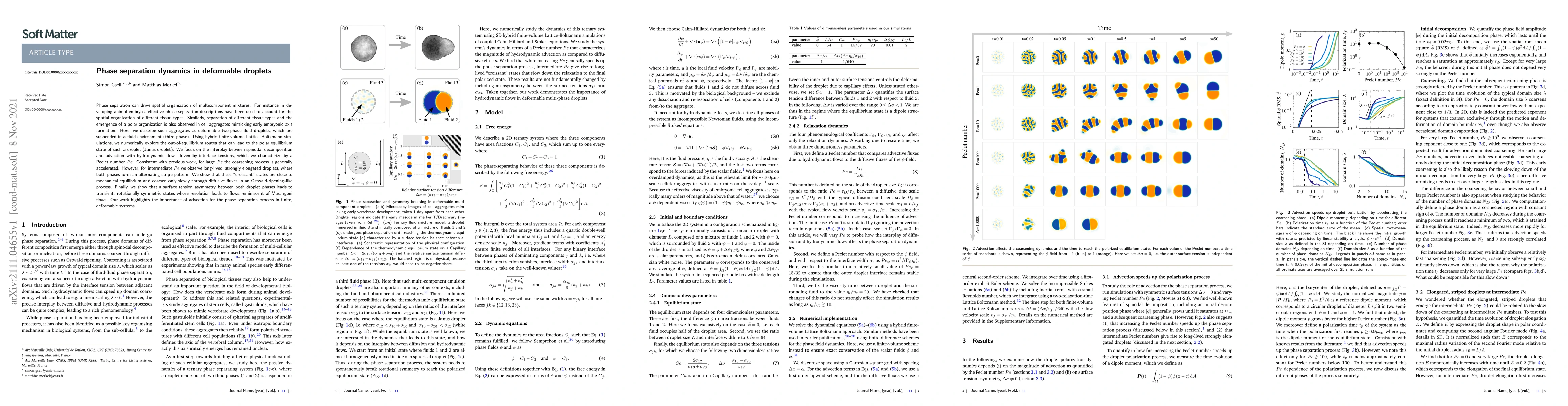 Thumbnail for Phase separation dynamics in deformable droplets