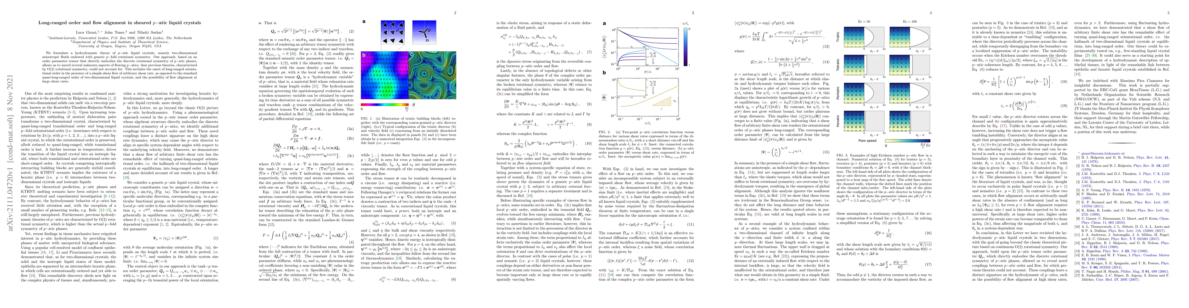 Thumbnail for Long-ranged order and flow alignment in sheared $p-$atic liquid crystals
