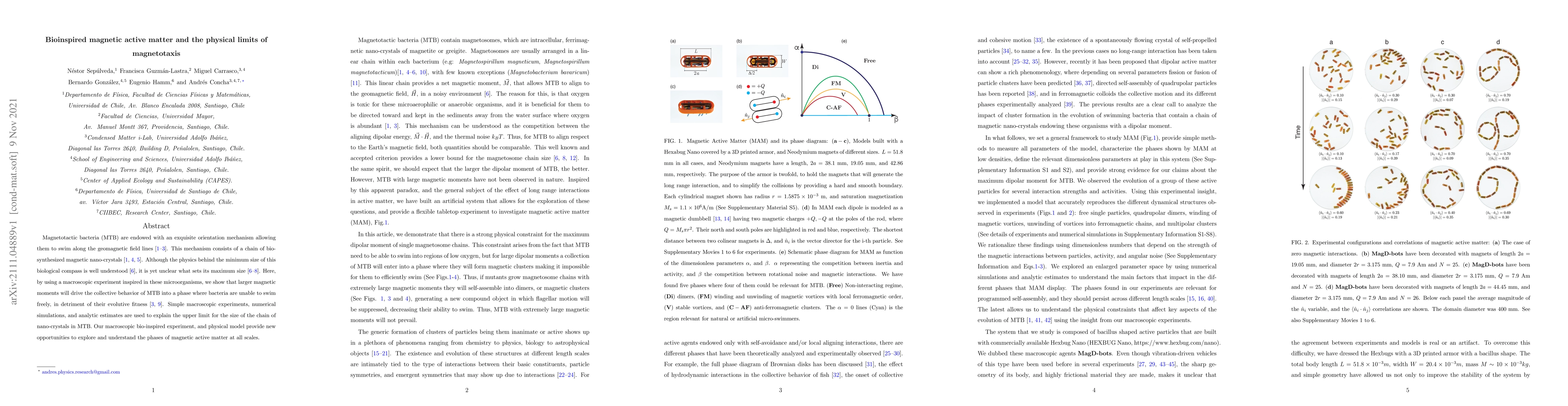 Thumbnail for Bioinspired magnetic active matter and the physical limits of
  magnetotaxis