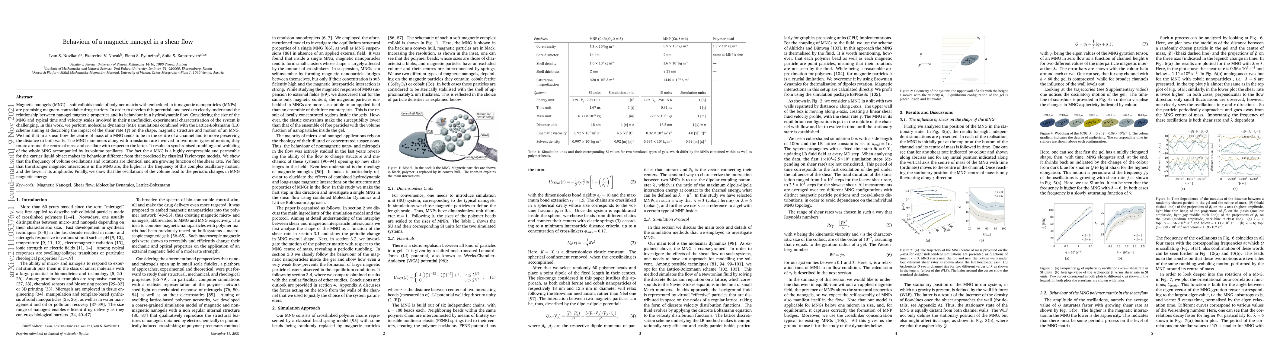 Thumbnail for Behaviour of a magnetic nanogel in a shear flow