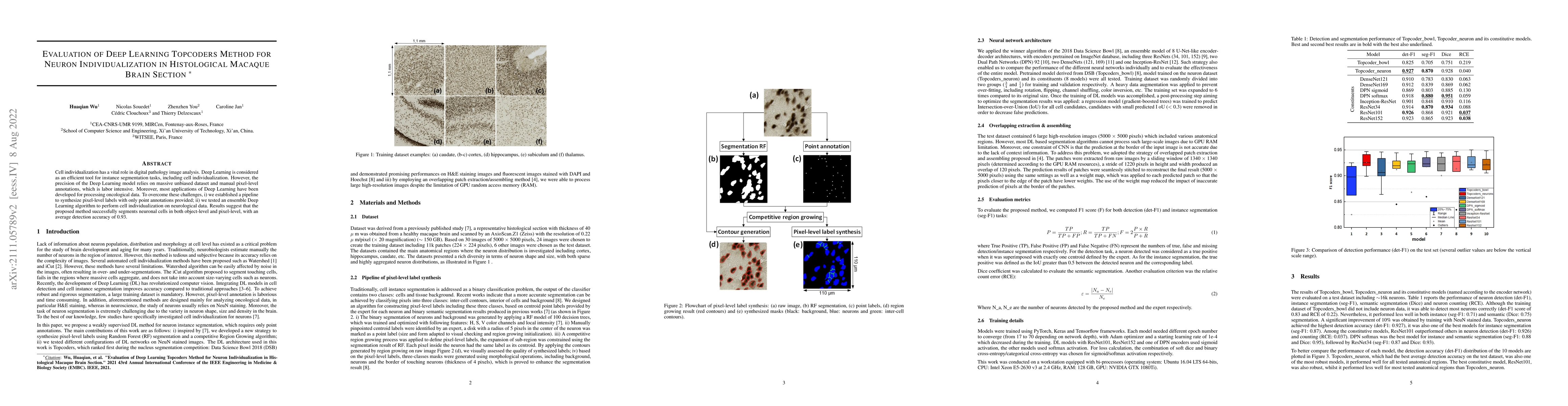 Thumbnail for Evaluation of Deep Learning Topcoders Method for Neuron
  Individualization in Histological Macaque Brain Section