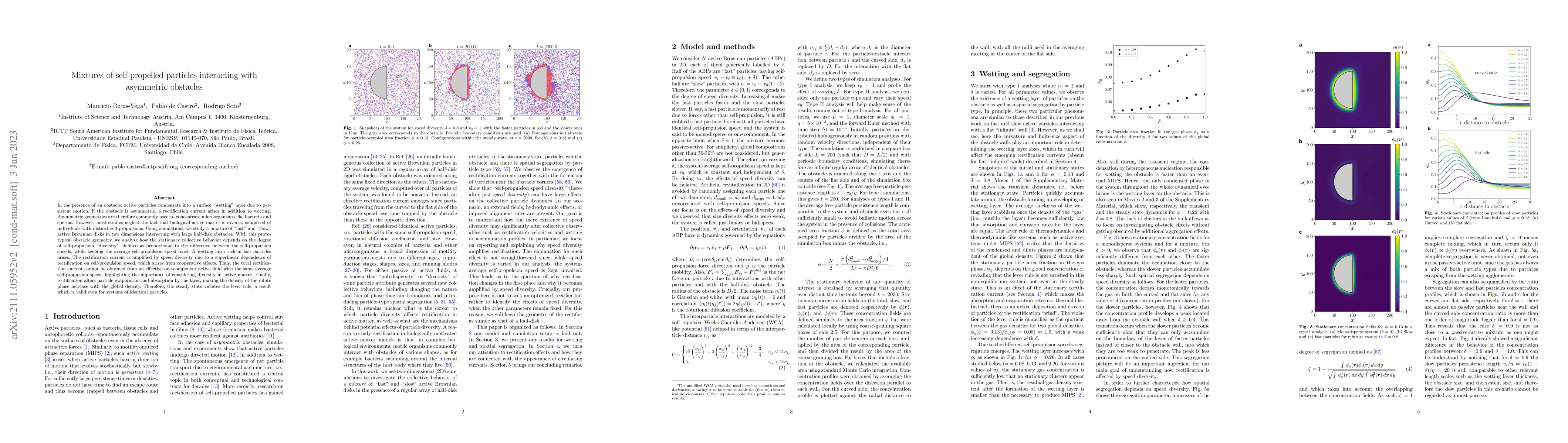Thumbnail for Mixtures of self-propelled particles interacting with asymmetric
  obstacles