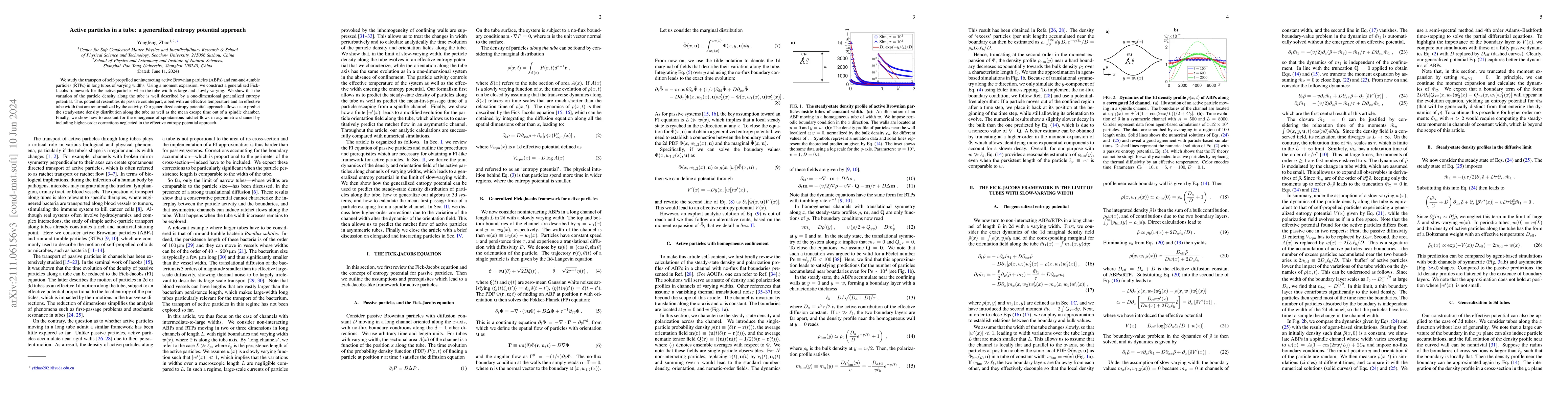 Thumbnail for Active particles in a tube: a generalized entropy potential approach