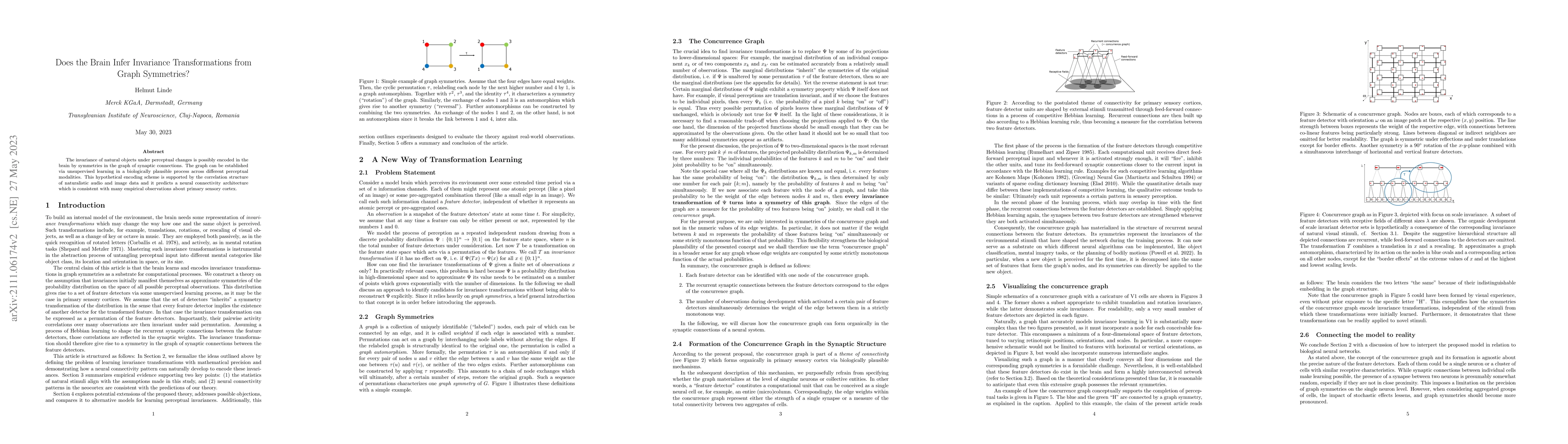 Thumbnail for Does the Brain Infer Invariance Transformations from Graph Symmetries?