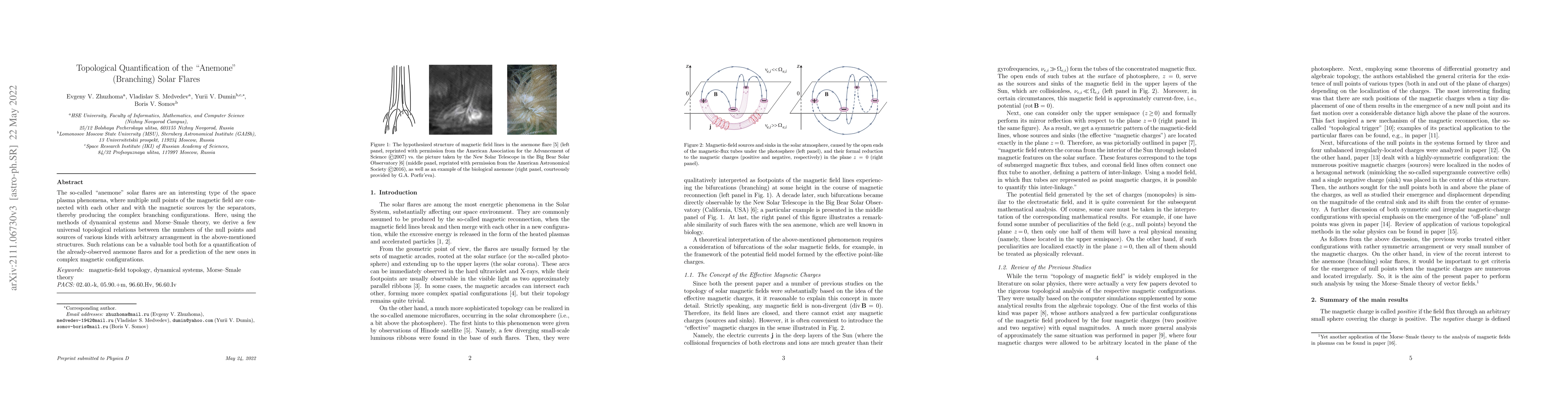 Thumbnail for Topological Quantification of the "Anemone" (Branching) Solar Flares
