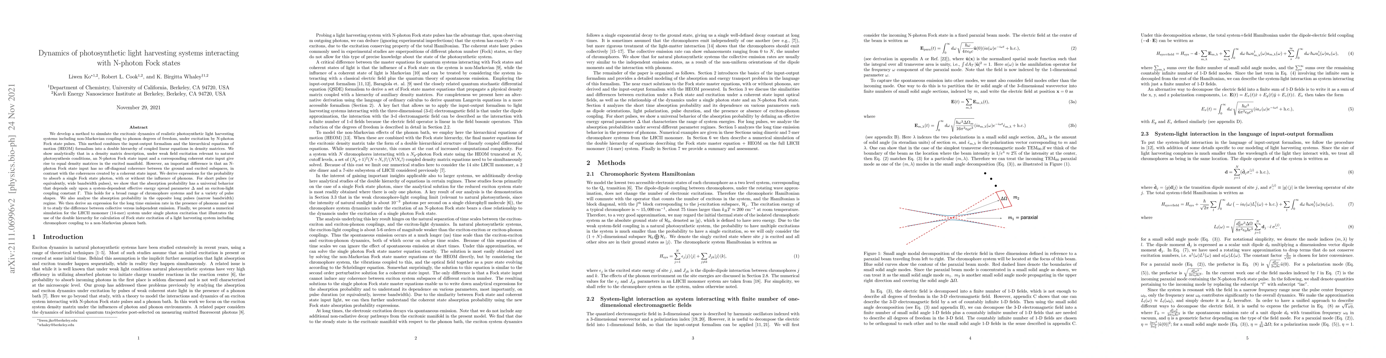 Thumbnail for Dynamics of photosynthetic light harvesting systems interacting with
  N-photon Fock states