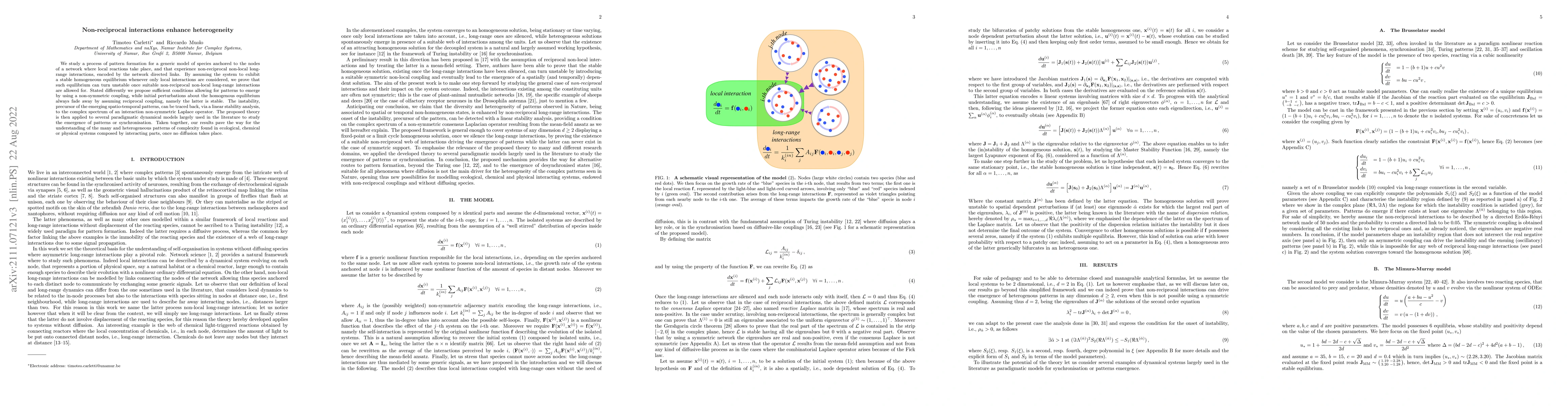 Thumbnail for Non-reciprocal interactions enhance heterogeneity