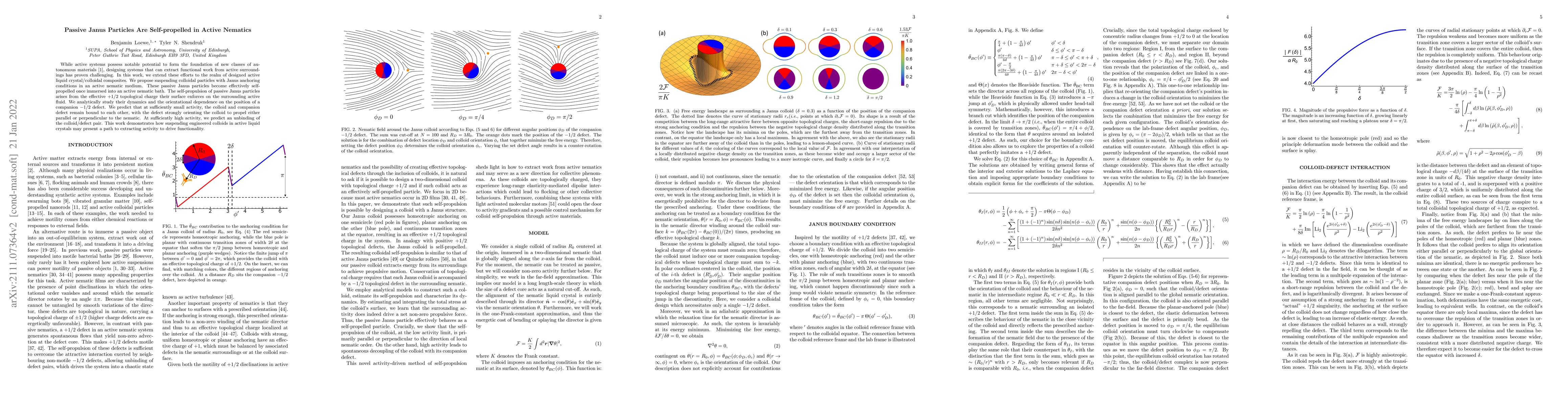 Thumbnail for Passive Janus Particles Are Self-propelled in Active Nematics