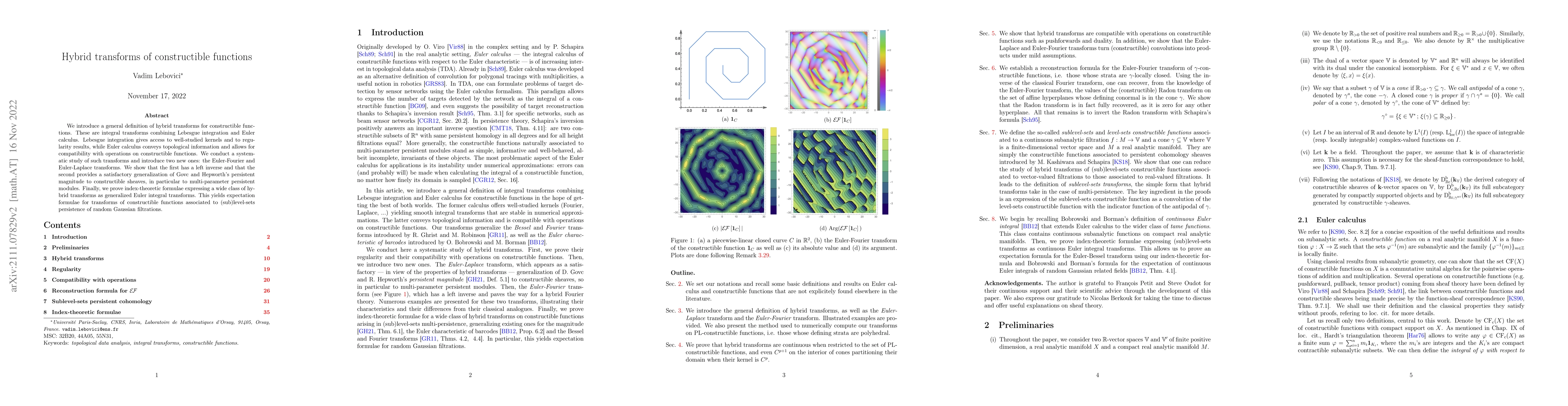 Thumbnail for Hybrid transforms of constructible functions