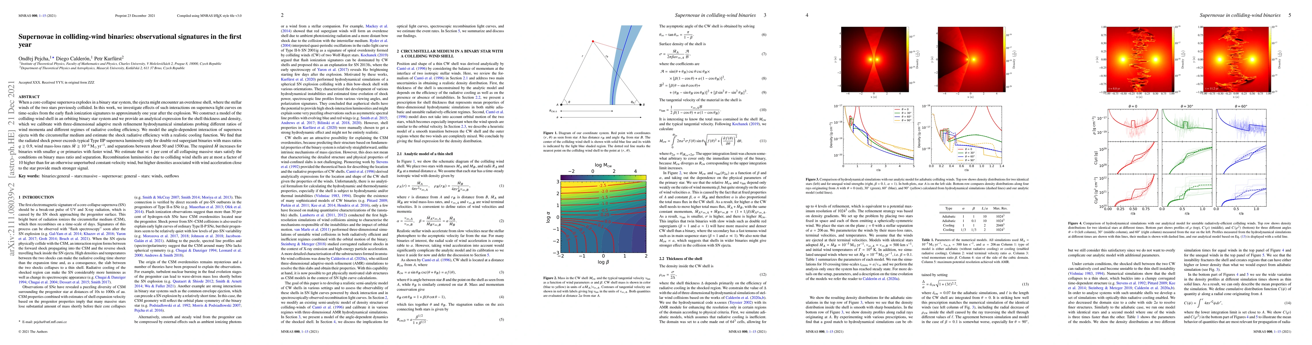 Thumbnail for Supernovae in colliding-wind binaries: observational signatures in the
  first year