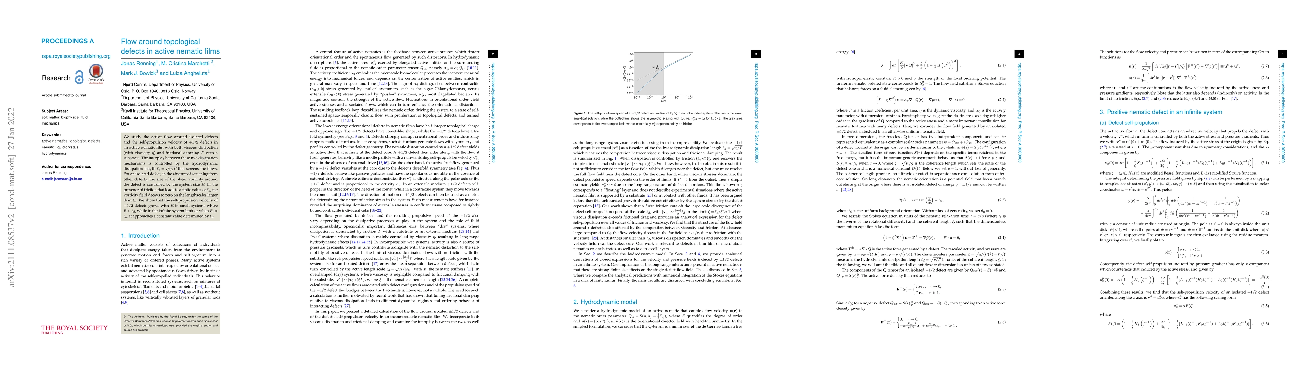 Thumbnail for Flow around topological defects in active nematic films