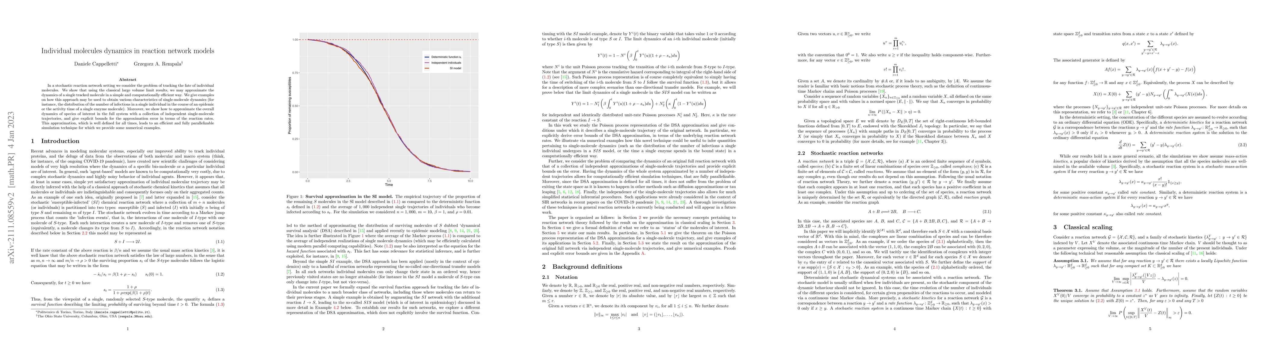 Thumbnail for Individual molecules dynamics in reaction network models