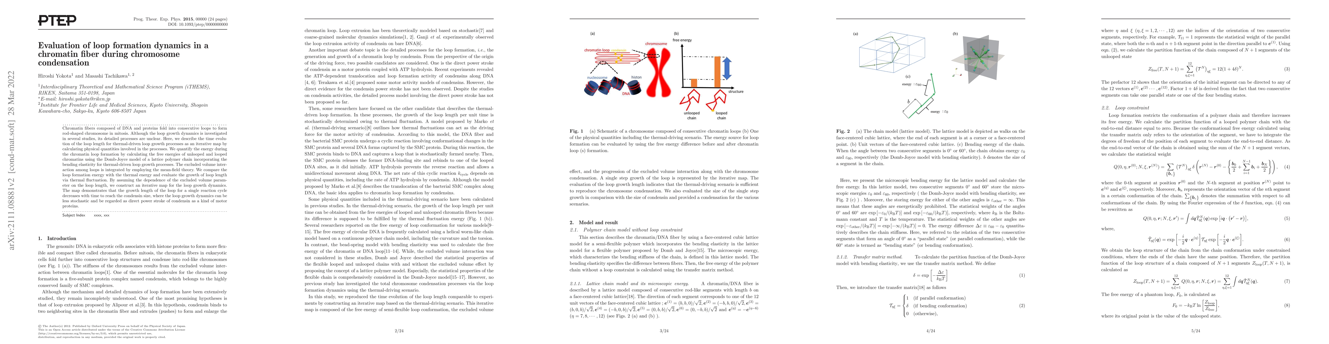 Thumbnail for Evaluation of loop formation dynamics in a chromatin fiber during
  chromosome condensation