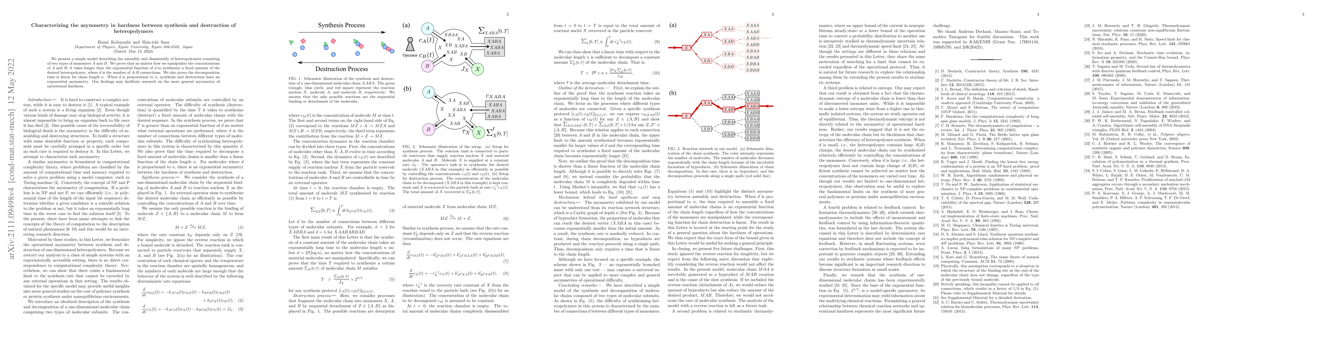 Thumbnail for Characterizing the asymmetry in hardness between synthesis and
  destruction of heteropolymers
