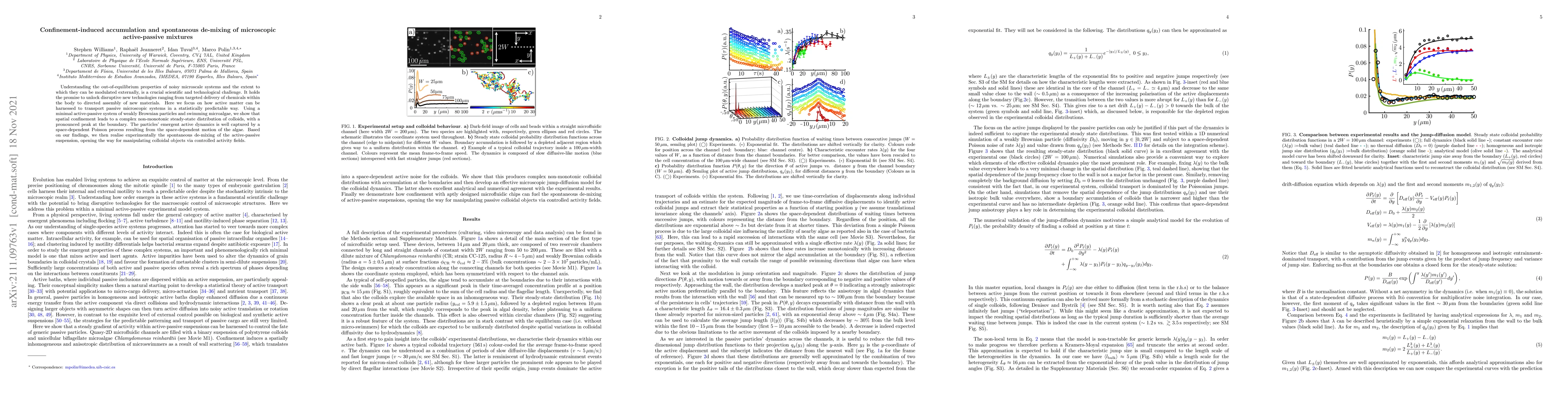 Thumbnail for Confinement-induced accumulation and spontaneous de-mixing of
  microscopic active-passive mixtures