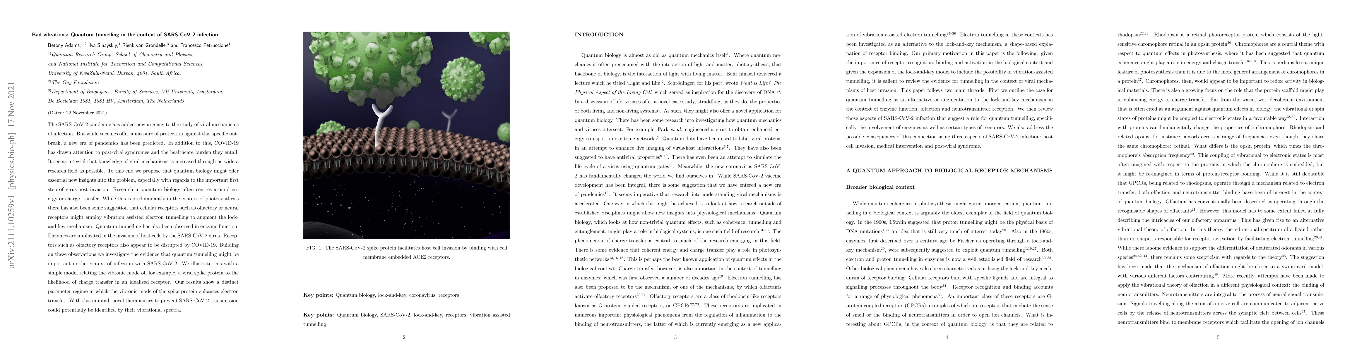 Thumbnail for Bad vibrations: Quantum tunnelling in the context of SARS-CoV-2
  infection