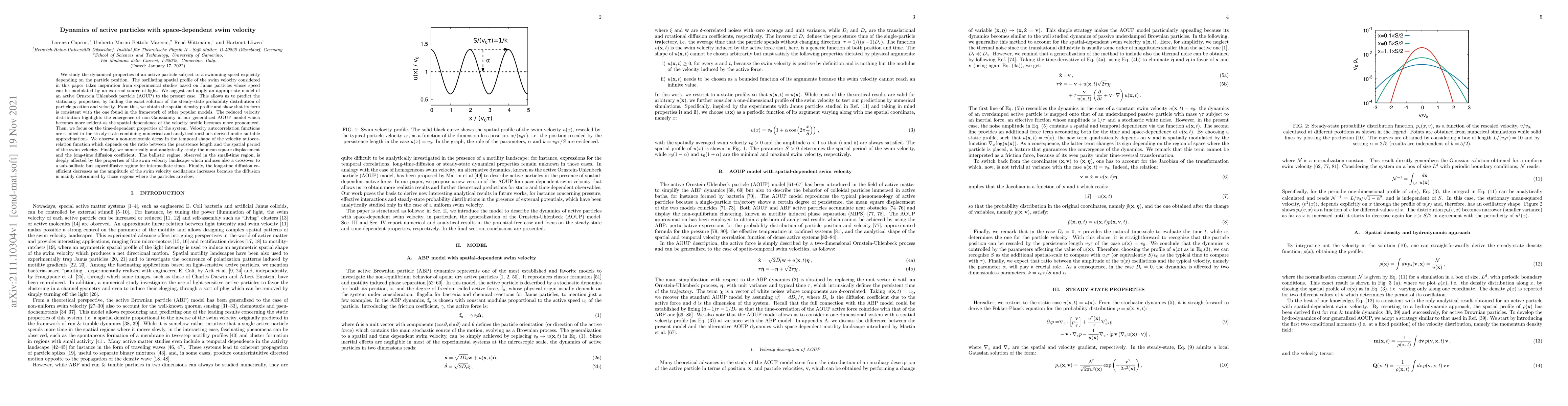 Thumbnail for Dynamics of active particles with space-dependent swim velocity