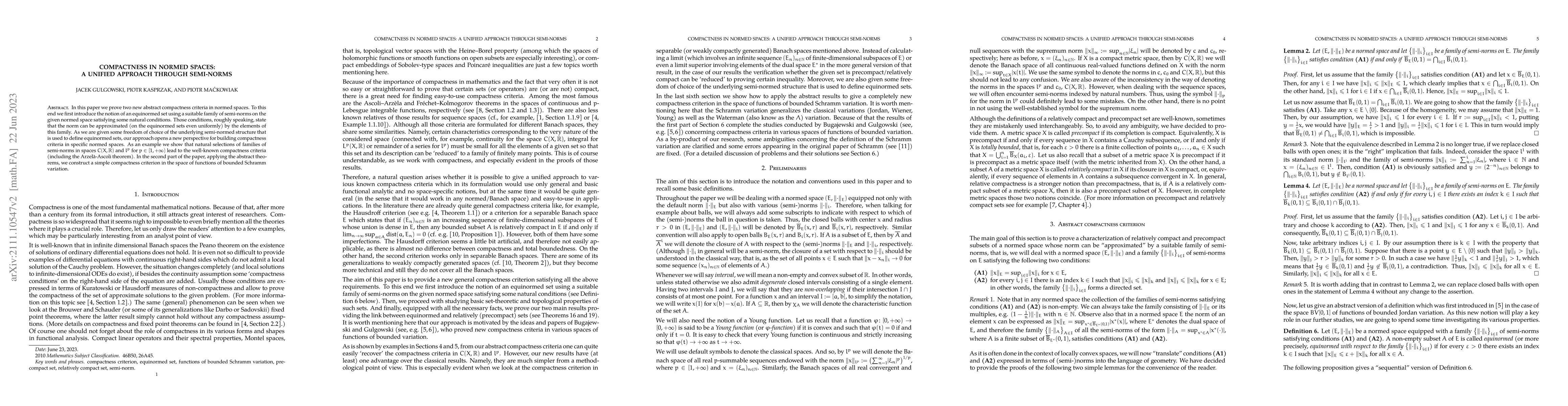 Thumbnail for Compactness in normed spaces: a unified approach through semi-norms