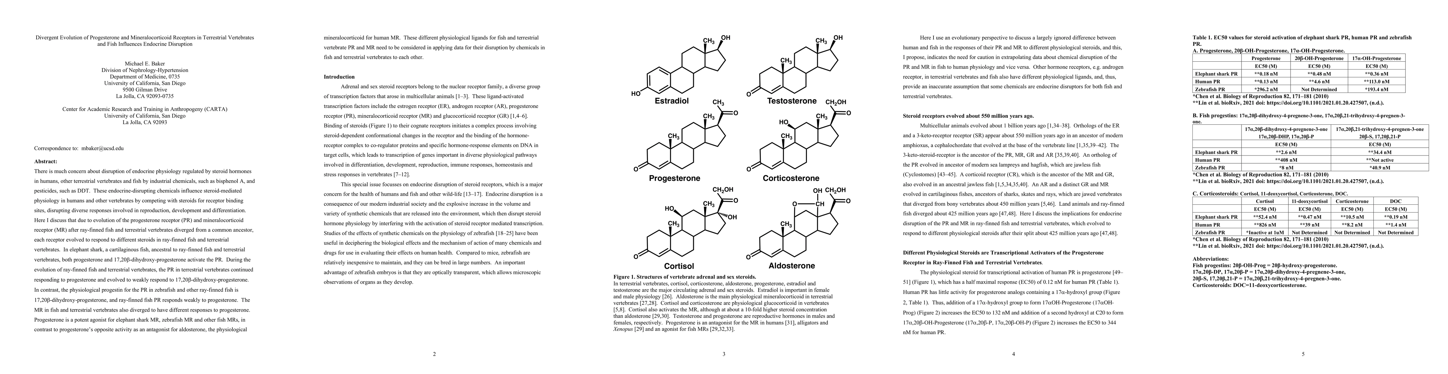 Thumbnail for Divergent Evolution of Progesterone and Mineralocorticoid Receptors in
  Terrestrial Vertebrates and Fish Influences Endocrine Disruption