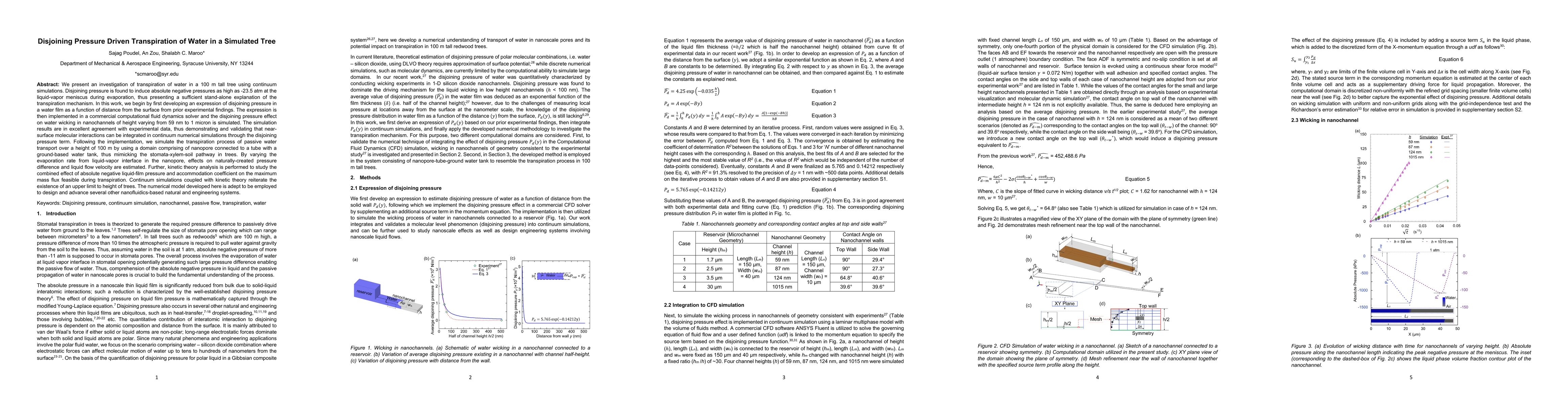 Thumbnail for Disjoining Pressure Driven Transpiration of Water in a Simulated Tree