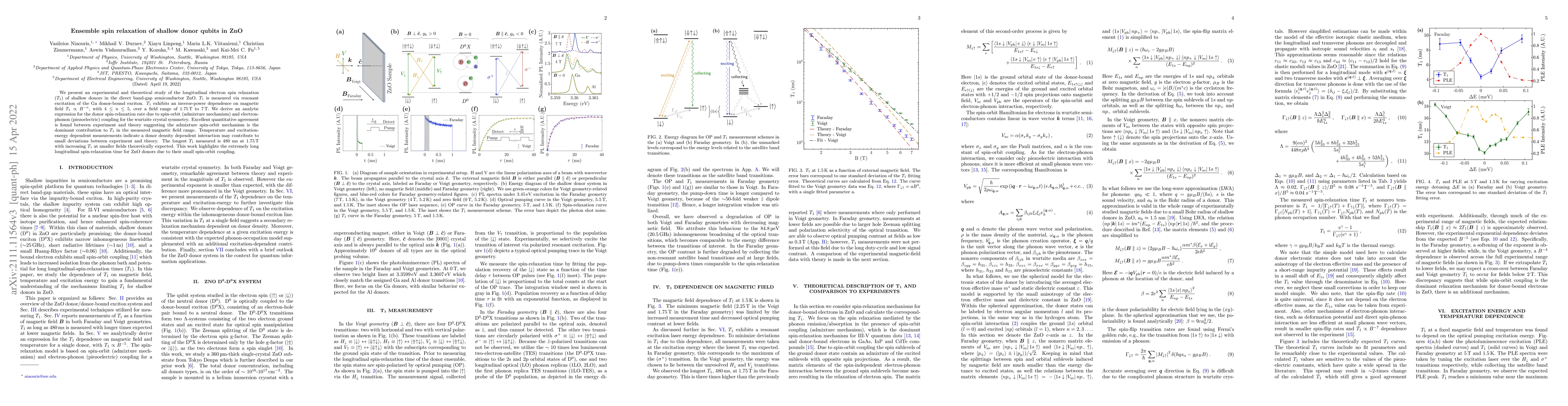 Thumbnail for Ensemble spin relaxation of shallow donor qubits in ZnO