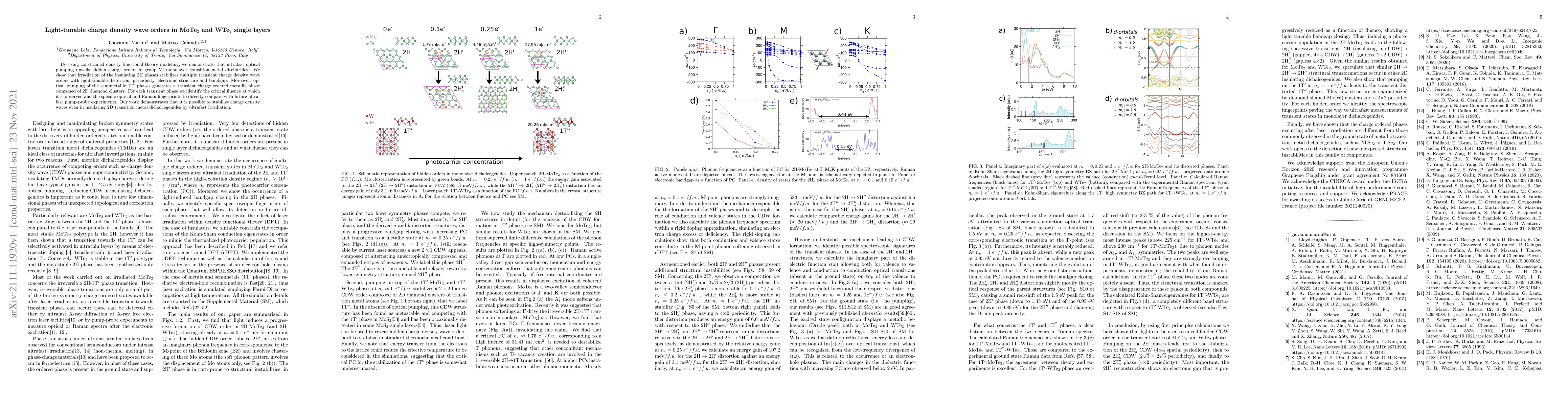 Thumbnail for Light-tunable charge density wave orders in MoTe2 and WTe2 single layers