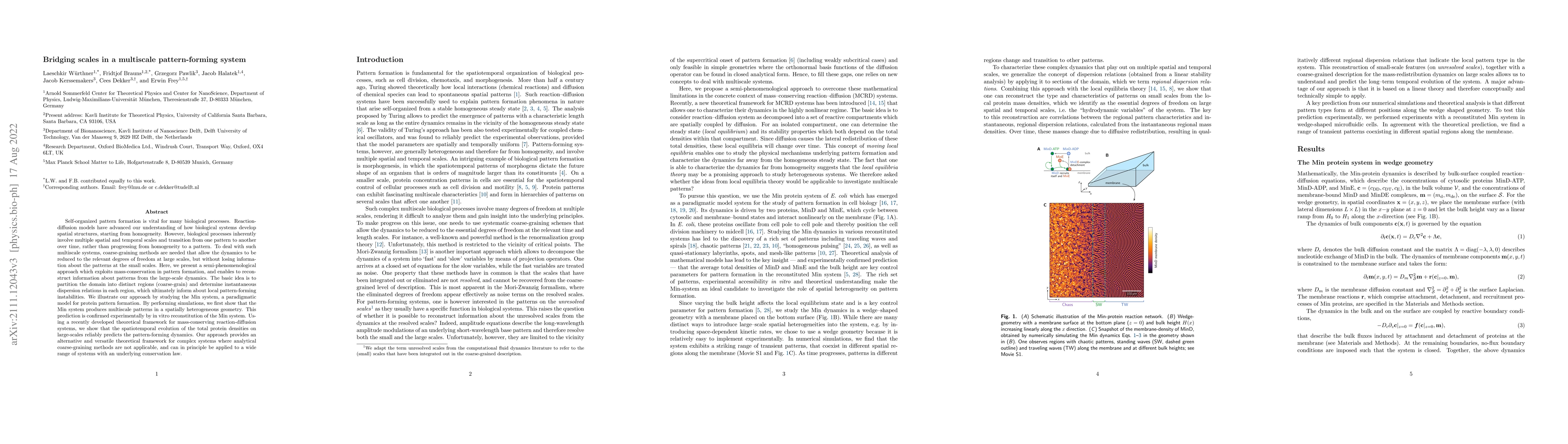 Thumbnail for Bridging scales in a multiscale pattern-forming system