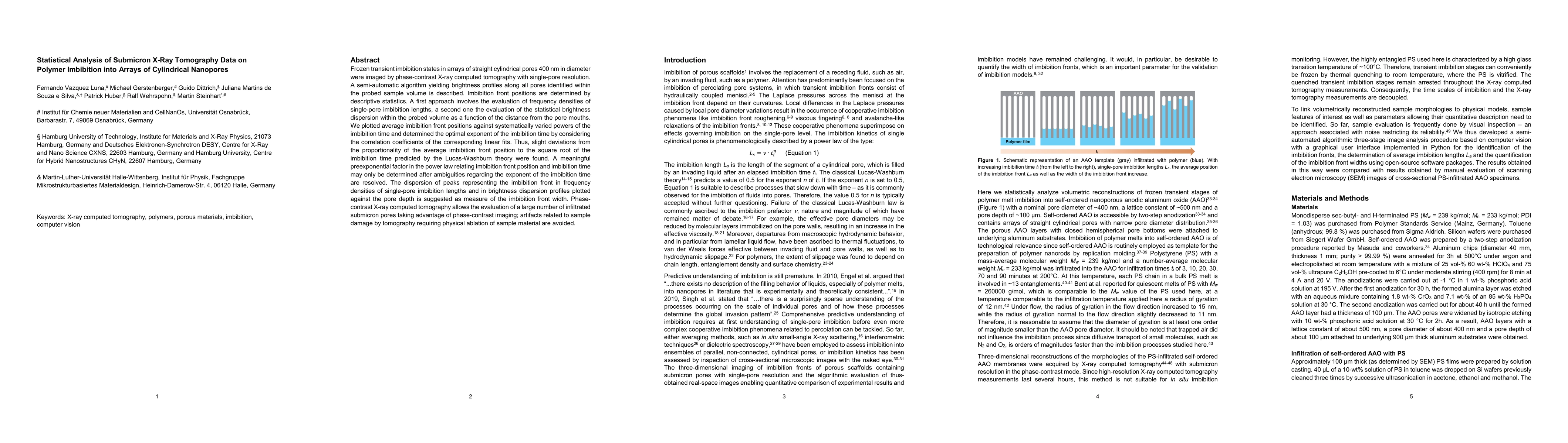 Thumbnail for Statistical Analysis of Submicron X-Ray Tomography Data on Polymer
  Imbibition into Arrays of Cylindrical Nanopores