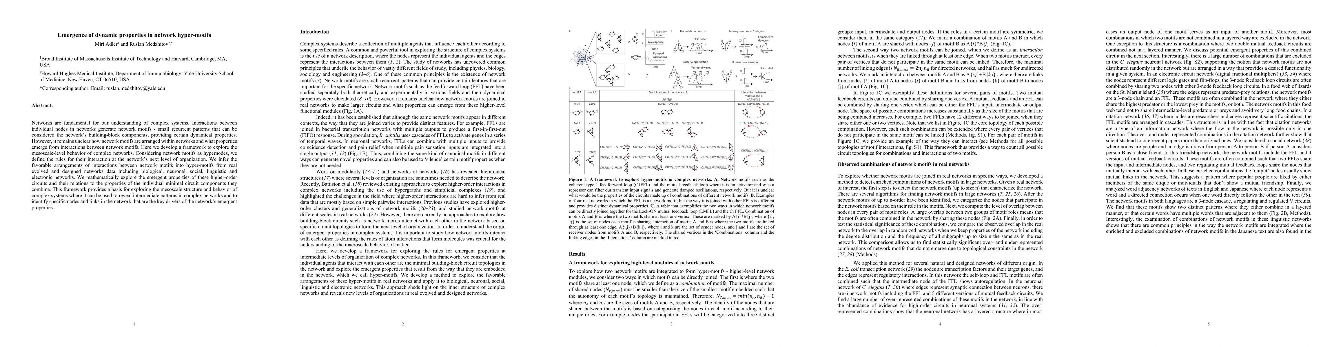 Thumbnail for Emergence of dynamic properties in network hyper-motifs