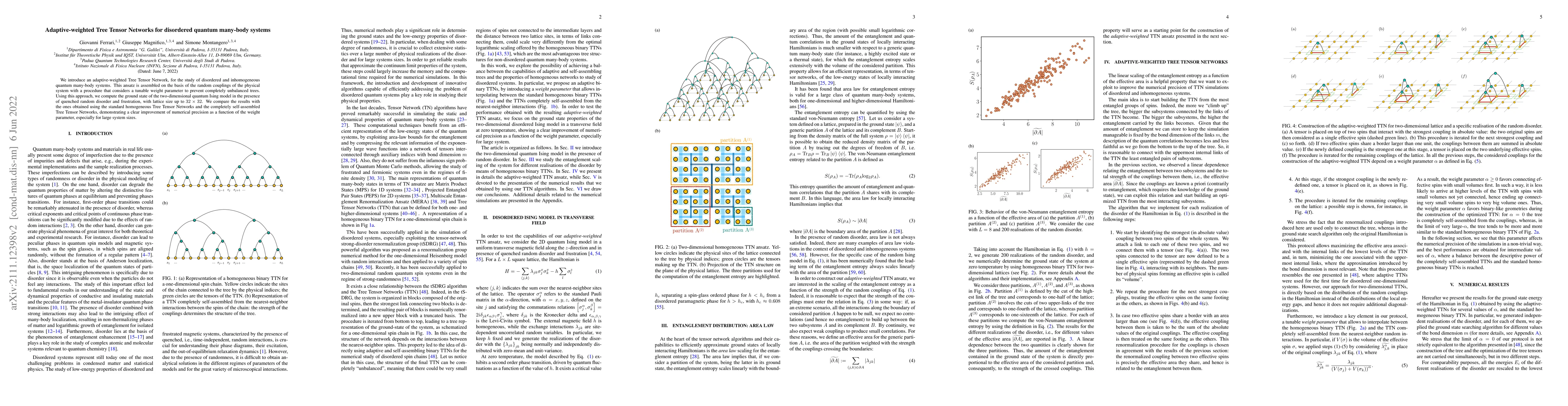 Thumbnail for Adaptive-weighted tree tensor networks for disordered quantum many-body
  systems