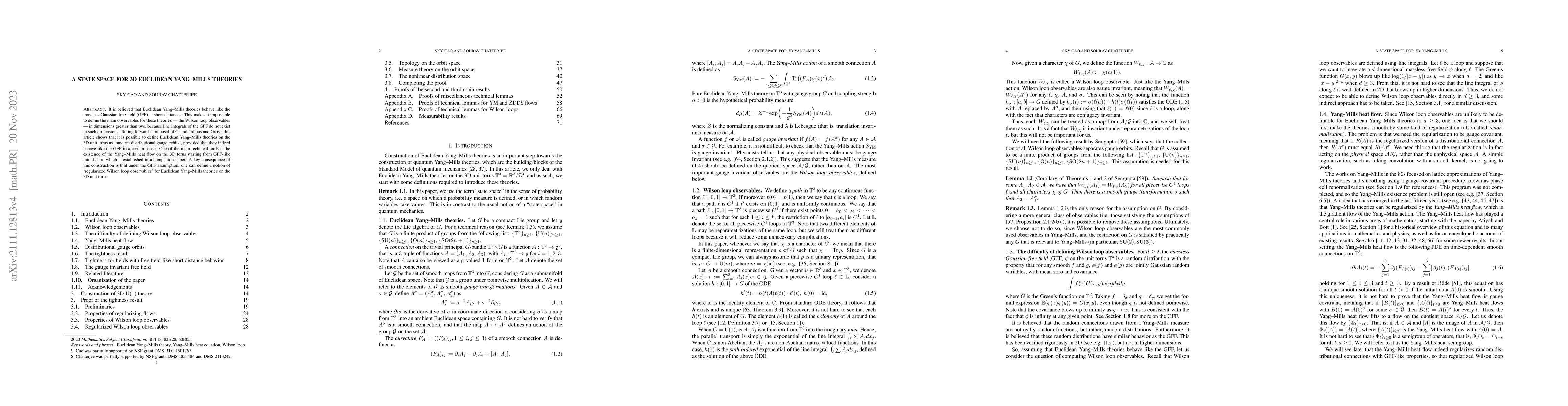 Thumbnail for A state space for 3D Euclidean Yang-Mills theories